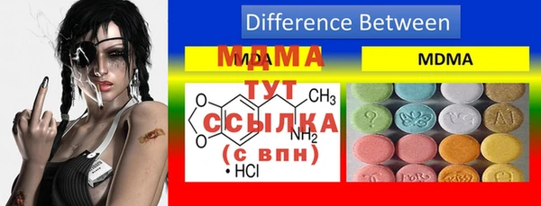 мдпв Бородино